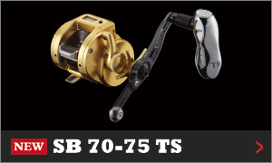SB70-75 TS
