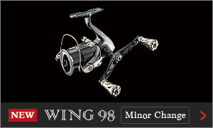WING 98 Minor Change